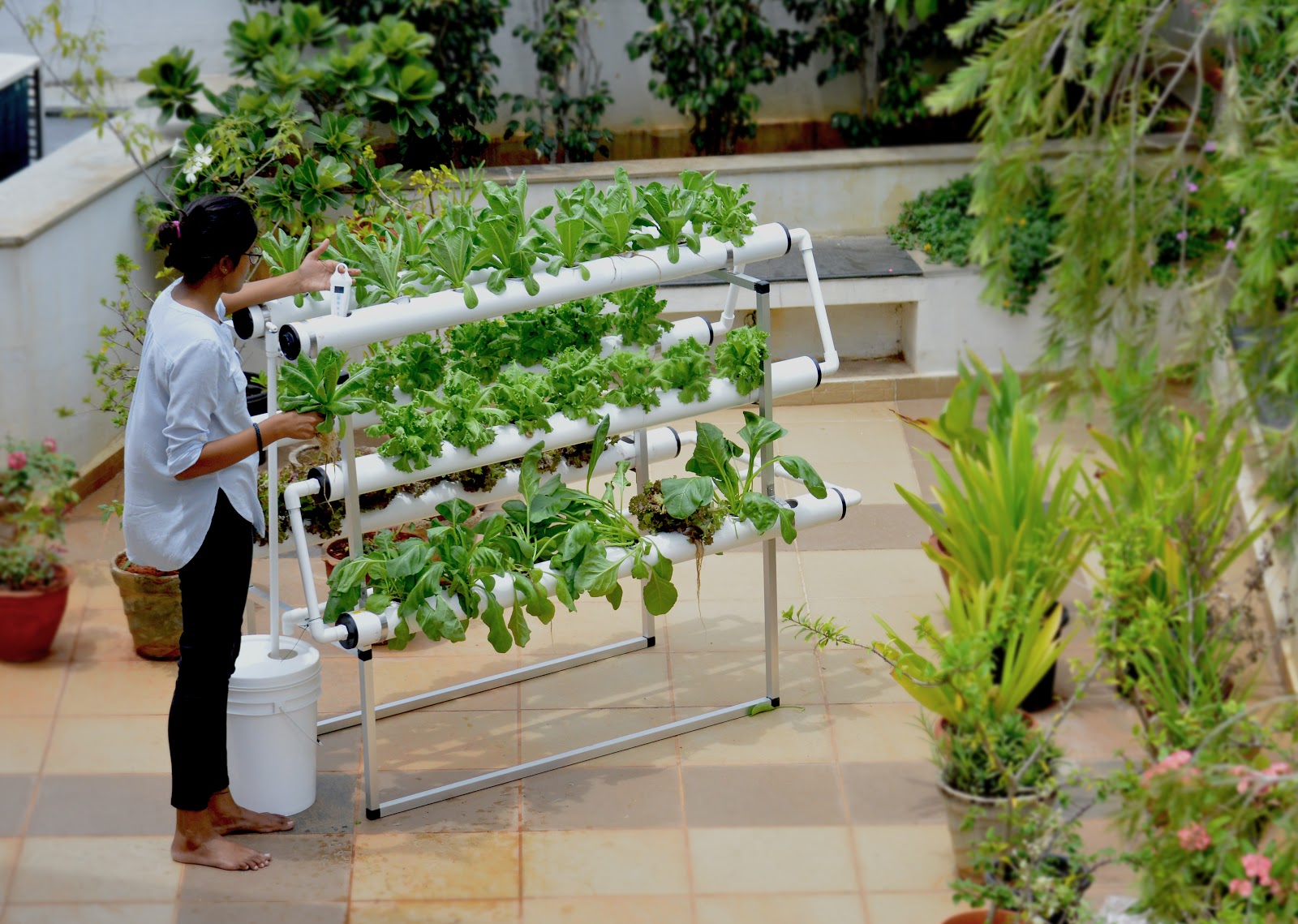 An Unbiased View of Hydroponic Gardening Supplies