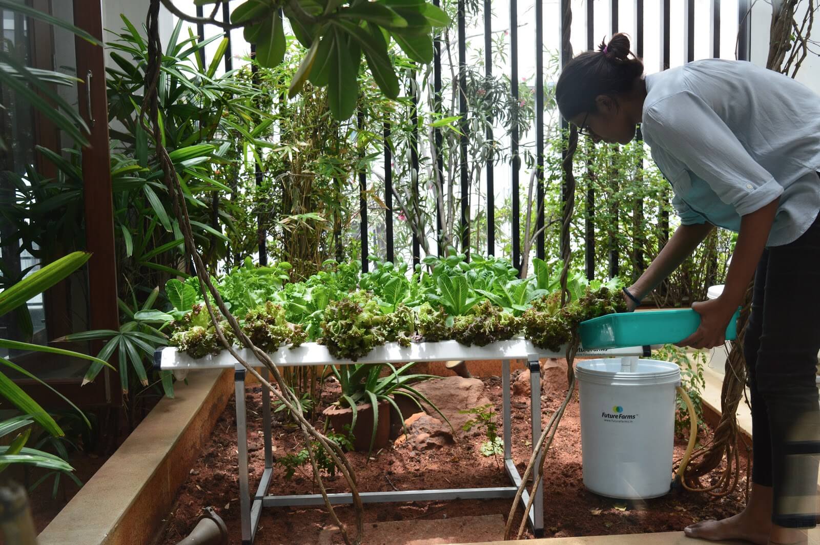 Epic Gardening Hydroponics