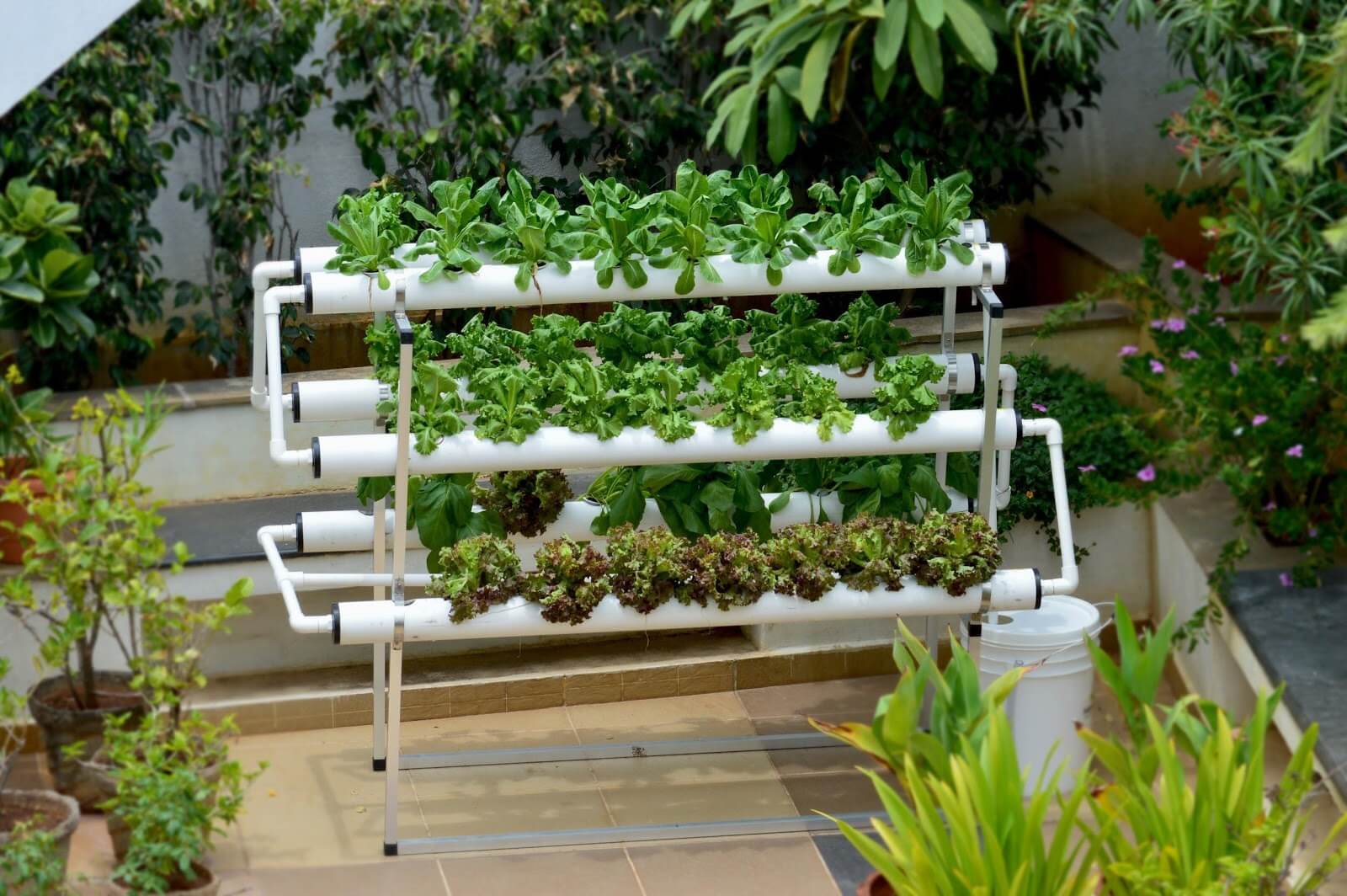 What is Vertical Hydroponic  Gardening